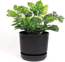 Elly Décor 10 inch Plastic Cylinder Planter Pot with Self-Watering Saucer and Drainage Hole,Lightweight & Extremely Durable, 10"x 10", Black by CozyNest Decor