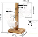 Plants Propagation Stations Plant Terrarium Kit Glass Planters for Indoor Plants House Plant Accessories Gift for Women - 4 Love Bulb Vase by GreenHaven Gardens