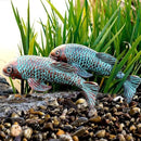 Garden Statues, Koi Fish Decor, Set of 2 Antique Koi Fish Garden Statue,Fish Sculpture Garden for Outdoors, Patio Decor, Backyard and Home Kitchen Decoration by GreenHaven Gardens