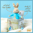 Beatrix Potter Peter Rabbit Jack-in-The-Box, Multi-colored, Standard by TinyTreasures Baby Boutique