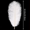 THARAHT White Ostrich Feathers 24pcs Natural Bulk 10-12Inch 25cm-30cm for Crafts Wedding Party Centerpieces Easter Gatsby and Christmas Tree Decoration Feathers by CozyNest Decor