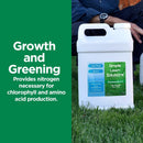 Maximum Green & Growth Fertilizer High Nitrogen 28-0-0 Lawn Food Liquid Fertilizer- Spring & Summer- Any Grass Type- Simple Lawn Solutions - Concentrated Quick & Slow Release Formula (2.5 Gallon) by GreenHaven Gardens