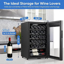24 Bottle Compressor Wine Cooler Refrigerator with Lock, Freestanding Wine Fridge, 41°F-64°F Digital Temperature Control, Large Wine Cellar for Red, White, Champagne, and Sparkling Wine – Black by CozyNest Decor