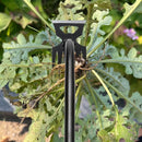 Gardening Hand Weeder Tools, Weeding Artifact Uprooting Weeding Tool, Durable Manganese Steel Hand Weeder Tool, Manual Multifunctional Weeders Gardening Tools for Yard and Garden (6 Teethes) by GreenHaven Gardens