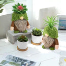Upltowtme Succulent Gnomes Spring Green Plants Gnomes Swedish Plush Tiered Tray Decoration Tomte Doll Decor Cacti Nordic Dwarf Home Stuffed Gnomes Collection Garden Gift for Her Him Plant Lover by GreenHaven Gardens