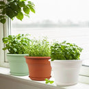 16 inch Plastic-Flower-Pot-for-Indoor-Plants, 4 Pack Large Outdoor Planter Pot with Drainage Holes & Saucers, Resin Decorative Garden Pots Planters by CozyNest Decor