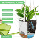 Hanging Planters for Indoor Outdoor Plants, 2 Pack Self Watering Hanging Pot with Drainage Holes, Removable Tray & 2 Kinds of Plant Hangers, 8'' Hanging Flower Pots for Home Garden Decor, White by GreenHaven Gardens