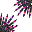 TW SHINE Purple Halloween Lights, 2 Pack 20FT 100 Count Incandescent Halloween Mini String Lights, Waterproof Halloween Decorations for Outdoor Indoor Patio Home Party Garden Yard Decor by GreenHaven Gardens