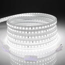 AIMENGTE Led Strip Lights for Outdoor - Waterproof Led Strip Lighting AC 110V, 360LEDs, 6500k LED Rope Lights for Garden, Patio, Lawn, Under Cabinet Kitchen, Bedroom Bathroom (9.9ft, Cool White) by GreenHaven Gardens