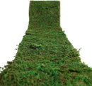 Moss Roll, Dried Moss for Crafts, Moss Table Runner for Fairy Gardens, Wedding Woodland Decor, Preserved Moss Mat for Table Decoration (4" W x 48" L) by CozyNest Decor