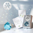 Dog Memorial Gifts, Unique Loss of Pet Sympathy Idea, Sky Blue Crystal Ball Rainbow Suncatcher with Paw Print for Cat or Dog Remembrance and Bereavement by GreenHaven Gardens
