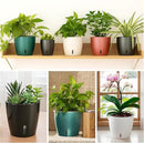 Self-Watering Pots for Indoor Plants, 12-Pack 5'' Self Watering Planter with Drainage Holes, Small African Violet Pots with Water Indicator, Clear Wick Pot, White by CozyNest Decor