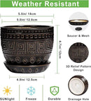 G EPGardening Ceramic Plant Pot - 5.5 Inch Ceramic Planter for Indoor Plants, Boho Round Indoor Flower Pot with Drainage Hole and Saucer, Plant Lover Gifts, Garden Home Room Decor, Black by GreenHaven Gardens