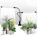 GHodec Grow Light,Full Spectrum White 84 LED Clip Plant Lights for Indoor Plants Growing, 4/8/12H Timer & 5 Dimmable Levels by GreenHaven Gardens