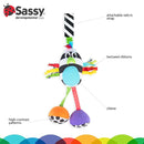 Sassy Boppin’ Birdie | Developmental Plush Toy for Early Learning | High Contrast | Attaches to Baby Gear for Travel | for Ages Newborn and Up (80660) by TinyTreasures Baby Boutique