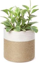 Dahey Small Cotton Rope Plant Basket Woven Plant Coiled Basket for Up to 7" Planter, Decorative Flower Pot Cover Closet Storage Bin Table Desk Organizer for Home Decor, White and Beige by GreenHaven Gardens
