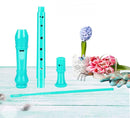 Descant Soprano Recorder Music Recorder Instrument for Kids Flute Kids Recorder with Cleaning Rod + Case Bag… by TinyTreasures Baby Boutique