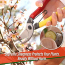 SUIZAN Bypass Pruning Shears 8” - Professional Japanese Hand Pruners Garden Scissors Gardening Tools by GreenHaven Gardens