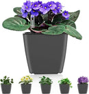 Self Watering Planters for Indoor Plants : 5 inch 6 Pack Grey Planter with Water Level Indicator African Violet Self Watering Flower Pot for Herb Pot House Plant Planting by GreenHaven Gardens