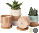 OMAYKEY 4 Inch Ceramic Plant Pot with Saucer, Water Transfer Printing Grain Planters Pots with Drainage Hole & Mesh Pads for Succulent, Indoor Flowers, Snake Plants, Cactus, Herbs, Set of 4 by GreenHaven Gardens