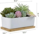 MyGift Assorted Artificial Succulent Plant Arrangement Potted in White Ceramic Planter Pot with Removable Bamboo Tray by CozyNest Decor