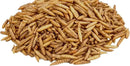Dried Black Soldier Fly Larvae, 100% Natural, Non-GMO, High-Protein Treats for Chickens, Layer Hens, Wild Birds, Ducks, 13.3 oz, Pack of 4 by GreenHaven Gardens