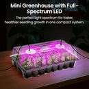 Bonviee 2-Pack Seed Starter Tray with Plant Light, Elevated Seedling Starter Trays Kits with Adjustable Humidity Domes and Clear Cell Tray, 12 Full Spectrum Led Lamp Beads for Plants Indoor-Clear by GreenHaven Gardens