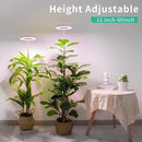 LORDEM Full Spectrum LED Grow Lights, Brightness Adjustable Plant Lamps with Auto On/Off Timer, Height Adjustable Growing Lights for Indoor Plants, Pack of 2 by GreenHaven Gardens