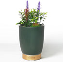 Earnest Living Essential Oil Diffuser Ceramic Artificial Succulent Plants Potted Diffuser 100 ml for Lavender Essential Oils Timers Night Lights and Auto Off Humidifier Aromatherapy Diffusers for Gift by TinyTreasures Baby Boutique