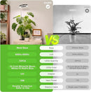 LORDEM Grow Light, LED Plant Light for Indoor Plants Growing, Full Spectrum Desk Growth Lamp with Automatic Timer for 4H/8H/12H, 4 Dimmable Levels, Height Adjustable 9.8"-30.6", 2 Packs of Black by GreenHaven Gardens