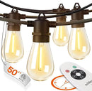 addlon 50FT LED Outdoor String Lights Timer Control with Edison Shatterproof Bulbs, Weatherproof Strand, Commercial Grade Patio Lights, Decorative for Garden or Patio, Black by GreenHaven Gardens