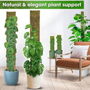 DUSPRO 59’’ Flat Mesh Moss Poles for Climbing Plants Monstera Flat Stacks for Tall Plant with Real Moss Moss Pole for Indoor Plants Plant Stick Support Tall Indoor Plants Support Stakes (1pc., 59'') by GreenHaven Gardens