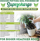 Organic Potting Soil for Indoor Plants. Boost House Plant Growth for Monstera, Fiddle Leaf, Money Tree, Pothos, Snake Plant, Aroid, Flowers, Herbs, Veggies, & More, Smart Grower 3 LB Ready to Plant by GreenHaven Gardens