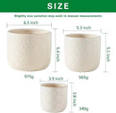 Docrin Ceramic Plant Pots Indoor：6.5+5.3+4 Inch Planters with Drainage Holes for Home /Office - Set of 3 / White by GreenHaven Gardens
