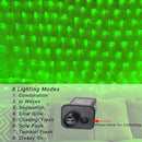 Green Net Outdoor Mesh Lights for St Patrick's Day, 14.8ft x 5ft 300 LED String Lights, 8 Modes Connectable Fairy Mesh for Christmas, Bushes, Tree, Party, Garden Decor by GreenHaven Gardens