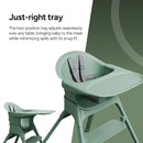 Mompush Olli 7-in-1 Convertible High Chair for Babies and Toddlers – Adjustable Height & Footrest, Dishwasher-Safe Tray, Compact Foldable Design for Easy Storage & Travel, Lightweight Yet Durable by TinyTreasures Baby Boutique