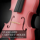4/4 Beginner Violin for Adults, Complete Full Size Violin Kit with Portable Case, Bow, Rosin, Pink by TinyTreasures Baby Boutique