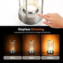 Portable Metal Table Lamp for Indoor/Outdoor ,Rechargeable Cordless LED Lamp, 3-Colour Infinitely Dimming Battery Powered Small Desk Lamp, Restaurant/Bedroom/Bar/Coffee/Camping Light (Sliver Set of 2) by CozyNest Decor