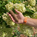 Tree & Shrub Fertilizer Spikes (12 Spikes - 3.0 Lbs) by GreenHaven Gardens