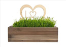 Cat Grass for Indoor Cats Kit – Limited Edition with Decorative Planter, Cat Trellis & Organic Seeds, Free Cat Toy & Catnip Spray for Ultimate Kitty Joy (AW) by GreenHaven Gardens