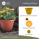 The HC Companies Caribbean Planter Pot - Outdoor & Indoor Plant Pot with Drainage Hole & Plug - Rolled Rim Plastic Pots for Plants & Flowers - Decorative Plant Pot (14" Honey, Pack of 2) by GreenHaven Gardens