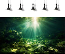 Underwater Sunray Aquarium Background Deep Ocean Rock Cave Fish Tank Background Under The Sea Coral Reef Aquarium Backgrounds Ocean Floor Tropical Fish Terrarium Backgrounds 72x16in by GreenHaven Gardens