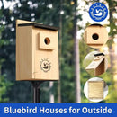 2 Pack Bird Houses for Outside,Bird House kit,Hummingbird House,Blue Bird House Outdoor Wren Swallow Finch by CozyNest Decor