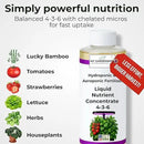 Liquid Plant Food – Hydroponics Nutrients for Indoor House Plants, Tomato, Strawberry, Lucky Bamboo, Lettuce, Vegetable Garden & Herbs – Aero Nutrients Liquid Fertilizer for All Growing Systems (8 oz) by GreenHaven Gardens
