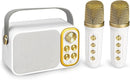 Mini Karaoke Machine for Kids Adult, Portable Bluetooth Karaoke Speaker with 2 Wireless Microphones for Home Party, Great Gifts for Boys and Girls Ages 4, 5, 6, 7, 8,9,10,11, 12+ Years Old by TinyTreasures Baby Boutique