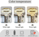 Flashing God Modern Crystal Chandeliers Dia 24" Gold Chandelier Flush Mount Ceiling Light for Bedroom Living Room Dining Room Hallway Dimmable 3 Rings LED Celing Lighting Fixtures by CozyNest Decor