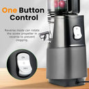 Cold Press Juicer,Slow Masticating Juicer Machines with 5.3" Large Feed Chute for Most Fruits and Vegetables,Easy to Clean Lemon Orange Juicer with 250W Motor and High Juice Yield,Deep Grey by CozyNest Decor