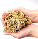 Premium Grade Sphagnum Moss by Gardenera - Organic Hand Mixed New Zealand Long Fibered Sphagnum Moss Orchid - 1 Quart by GreenHaven Gardens