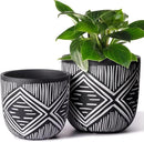 6 Inch Boho Planter Pots with Drainage Holes, 2 Pcs Terracotta Pots, Ceramic Plant Pots for Indoor Plants, Ferns, Vines, Succulents, and Outdoor Plants Growing, Gift for Plant Lovers（Black） by GreenHaven Gardens