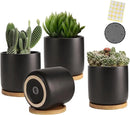 OMAYKEY 4 Inch Ceramic Plant Pot with Saucer, Black Planters Pots with Drainage Hole and Mesh Pads for Succulent, Snake, Cactus, Herbs - 4 Packs(Plant Not Included) by GreenHaven Gardens